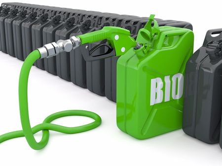Биотопливо из водорослей