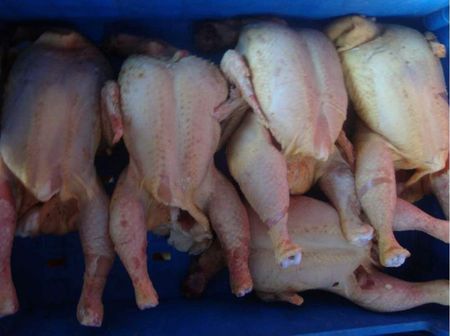 Биологическая очистка сточных вод птицефабрики и прилежащего ПГТ -продолжение