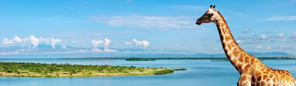 Бассейн Нила должен стать продуктивной экосистемой