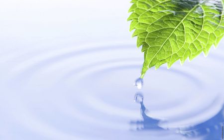 Системы экологической оценки как мотивация промышленных компаний к сохранению водных ресурсов