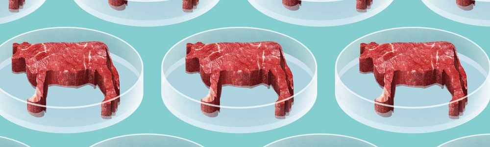 Мясо или мясные заменители: выбор за потребителем