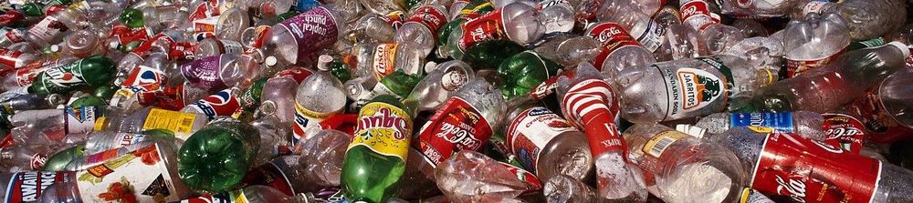  Пластиковые бутылки компании «Coca-Cola» и вопросы экологии