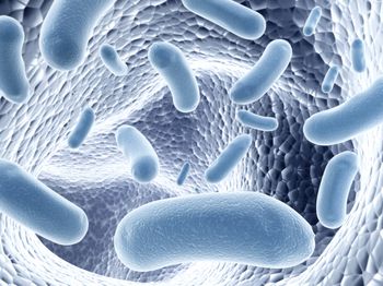 Нитчатые как конкуренты флокулообразующих бактерий 