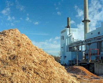 Использование биомассы в качестве топлива на польских ТЭС