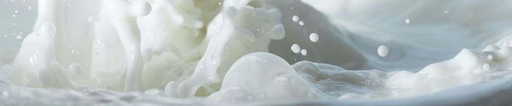 Соотношение ХПК и БПК молоко- и рыбоперерабатывающих производств