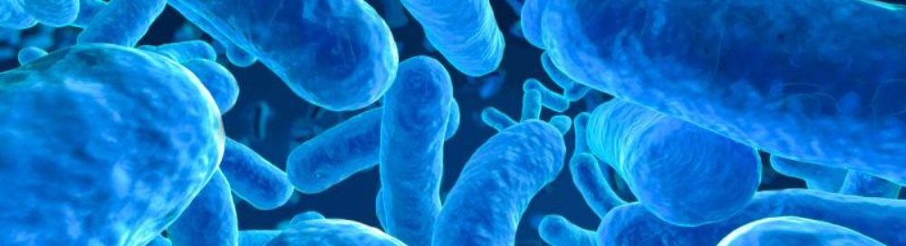 Механизмы поддержания жизнедеятельности микроорганизмов и бактерий