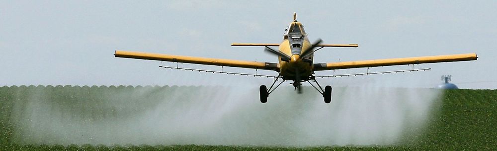 В европейских реках обнаружены запрещённые пестициды