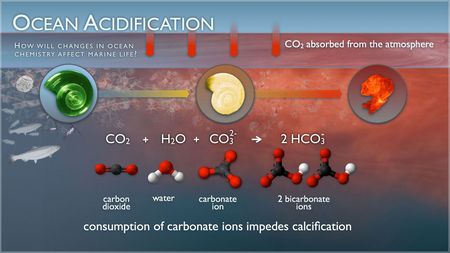 Исследование процессов поглощения углекислого газа океанами