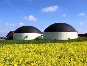 реакторы биогаза