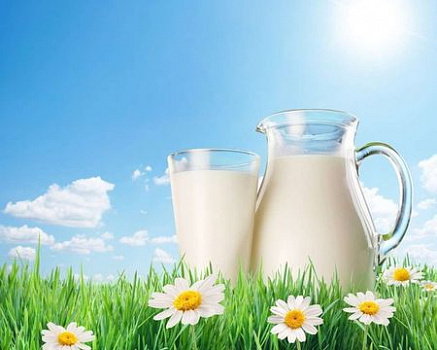 Очистка сточных вод молочной промышленности